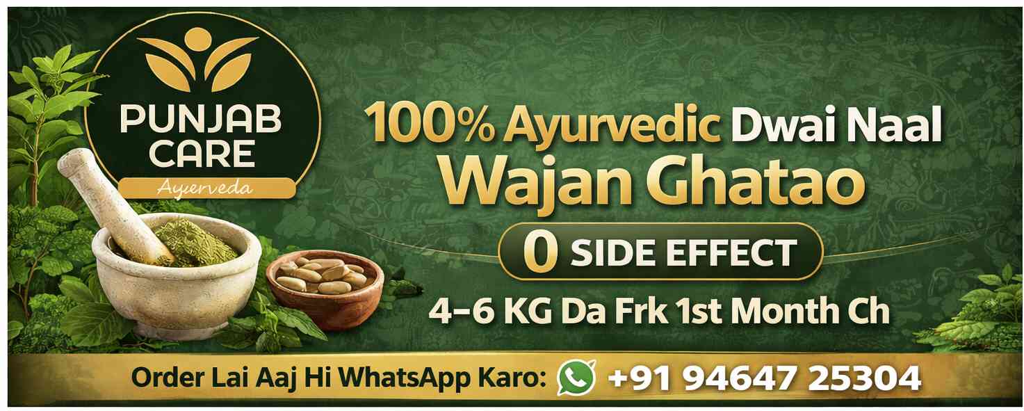 Punjab care ayurveda